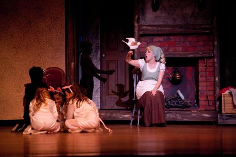 3 piece reversible cottage/palace