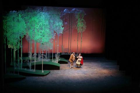 Into the Woods Rental Professional Chinchilla Theatrical Scenic rental