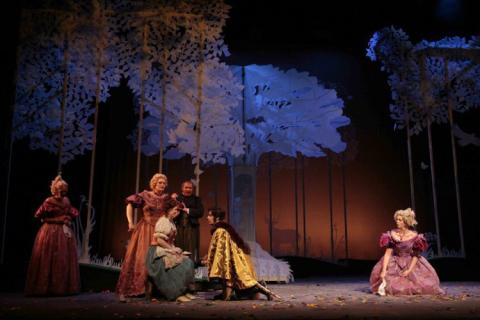 Into the Woods Rental Professional Chinchilla Theatrical Scenic rental