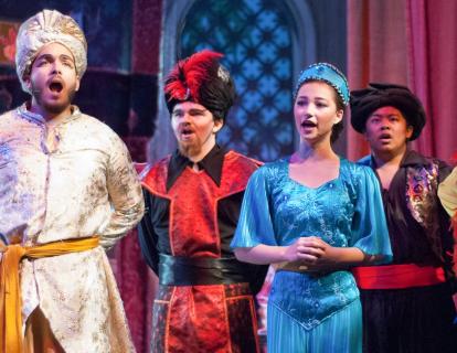 Aladdin Costume Rentals