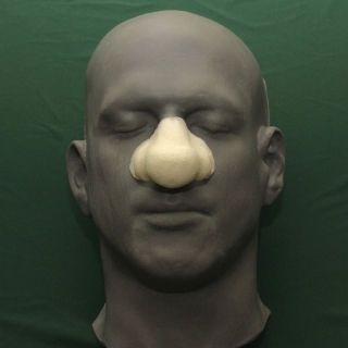 A large bulbous foam latex porsthetic nose on a human face cast