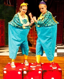 Alice in Wonderland - Tweedle Dee & Tweedle Dum Costumes