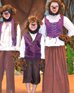 3 Bears