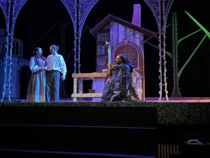 Into the Woods rental scenery - the bakers house -  stagecraft theatrical - 800-499-1504