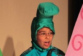 Alice in Wonderland Costume Rentals