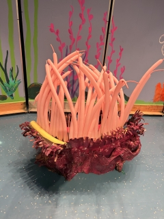 finding nemo anemone