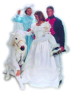 Cinderella Costume Rentals