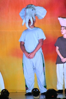 Ensemble (Elephant)