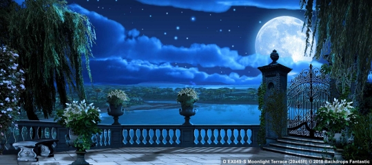 Moonlight Terrace EX049-S 20x45 Beauty and the Beast Backdrop Rental