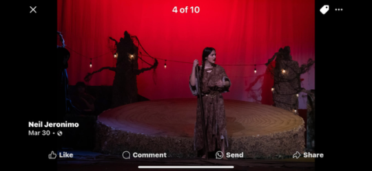 INTO THE WOODS/ PETER PAN