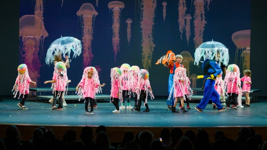 Jellyfish
