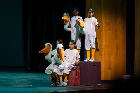 Pelicans