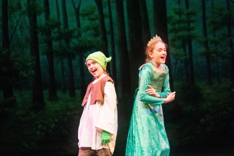 Shrek JR costumes