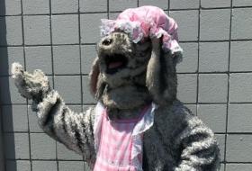 Peter Pan Costume Rentals