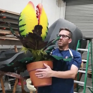 Audrey II Pod 2