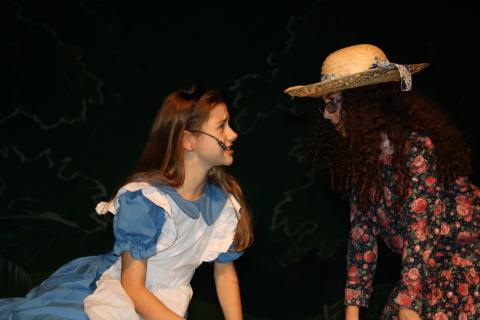 Alice in Wonderland Jr.