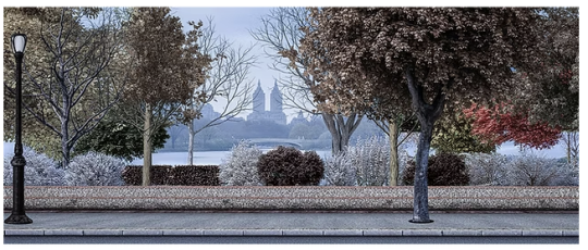 D132 Central Park West