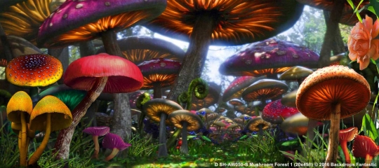 Mushroom Forest SH-AW050-S 20x45 Backdrop Rental