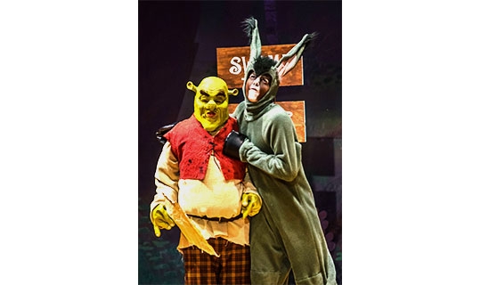 Shrek and Donkey
