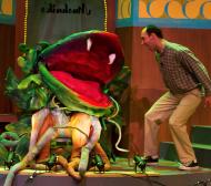 Audrey II Puppets