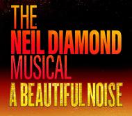 A Beautiful Noise