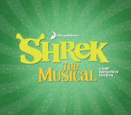 Shrek The Musical Camp Broadway Edition