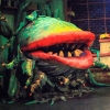 Audrey II Pod 4