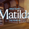 A library with the Matilda logo curtain warmer