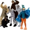 Rental Costumes for The Jungle Book - King Louie the Monkey, Bagheera the Panther, Sebra, Baloo the Bear, Colonel Hathi the Indian Elephant, Bird of the Jungle