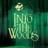 Into The Woods